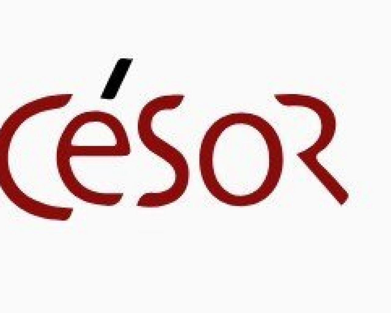 CéSor Centre d’études en sciences sociales du religieux (UMR 8216 : EHESS/CNRS) CéSor Centre d’études en sciences sociales du religieux (UMR 8216 : EHESS/CNRS)