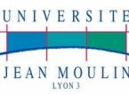 Université Lyon 3. Doctorat études arabes et islamiques