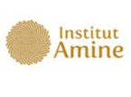 Institut Amine (Institut islamique en ligne)