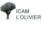 Institut des cultures arabes et méditerranéennes (ICAM)