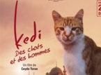 Kedi - Des chats et des hommes  Kedi - Des chats et des hommes