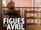 Des Figues en avril