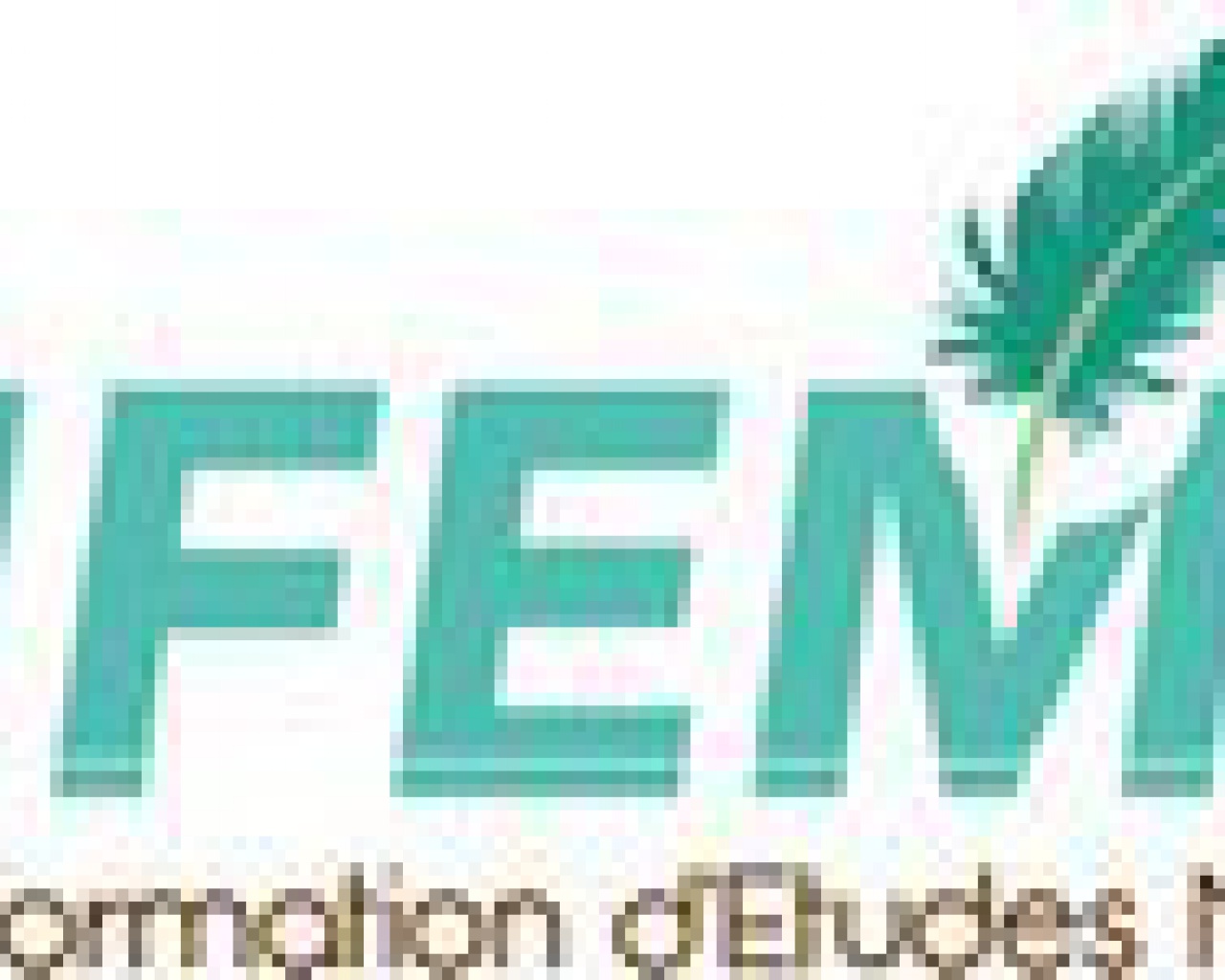Institut de Formation d'Etudes Musulmanes (IFEM)