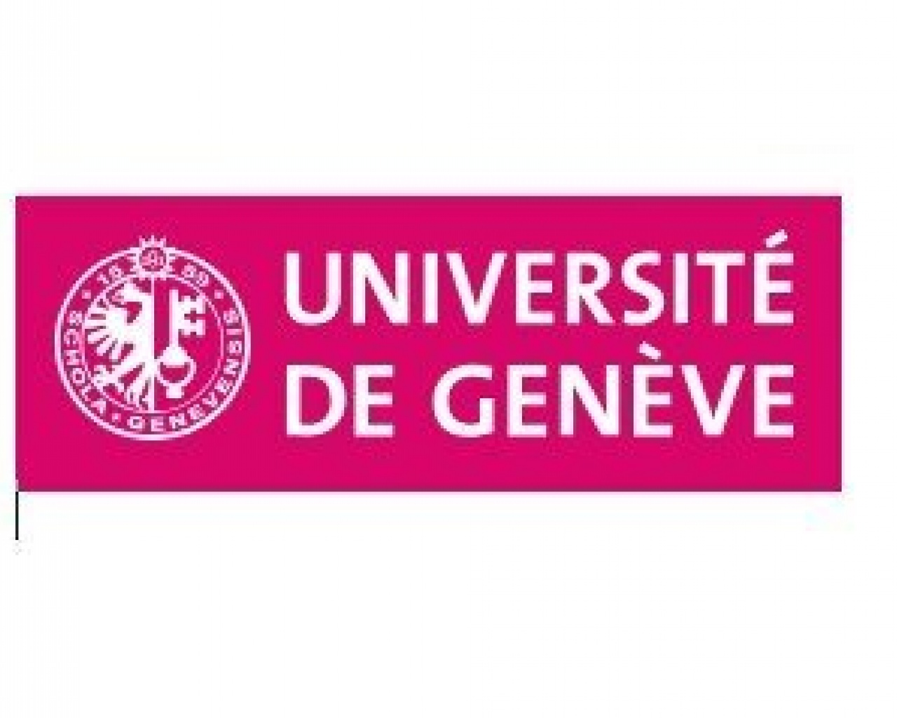 Master Moyen-Orient (Université de Genève, Global Studies Institute)