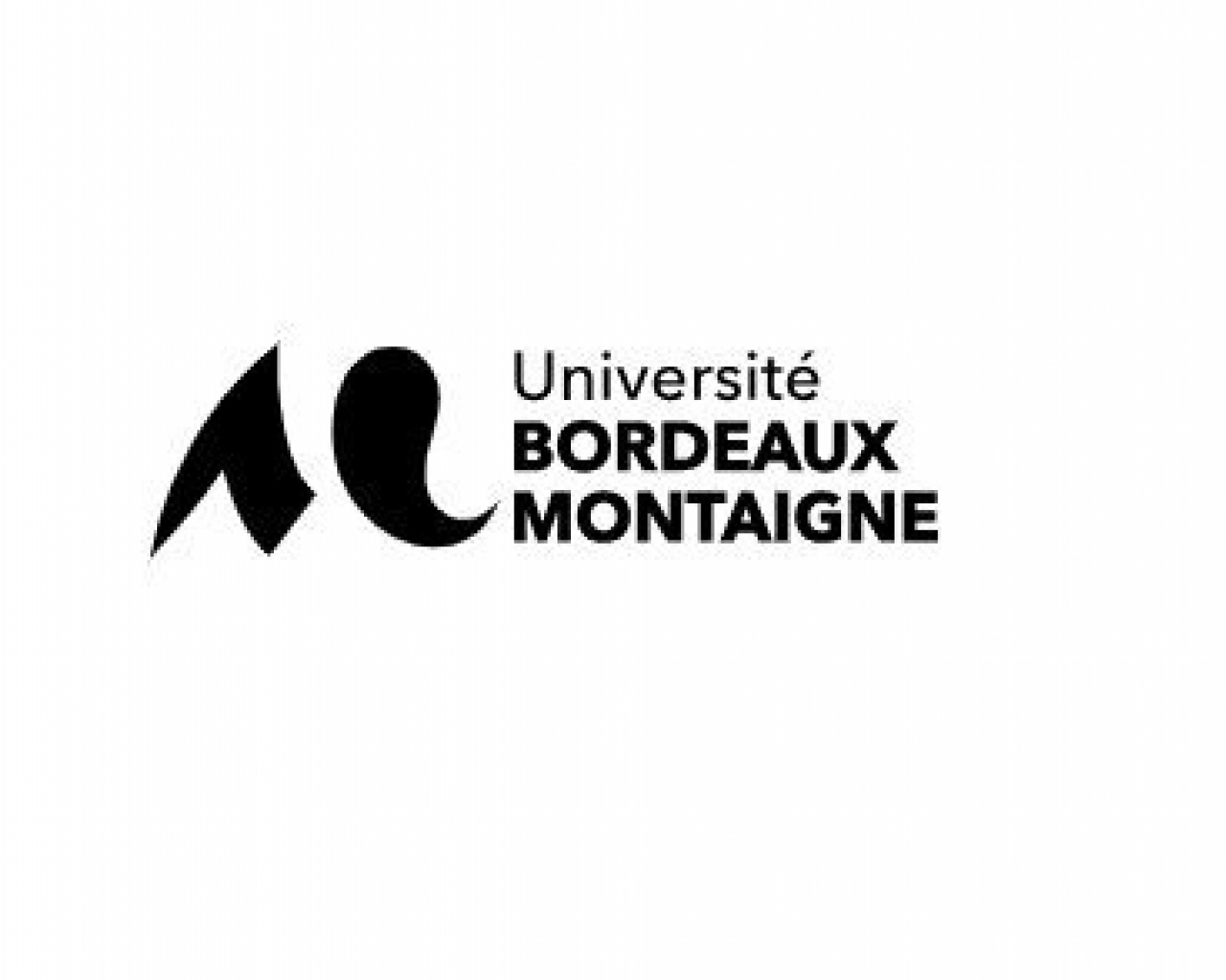 Master Etudes médiévales (Université Bordeaux Montaigne)