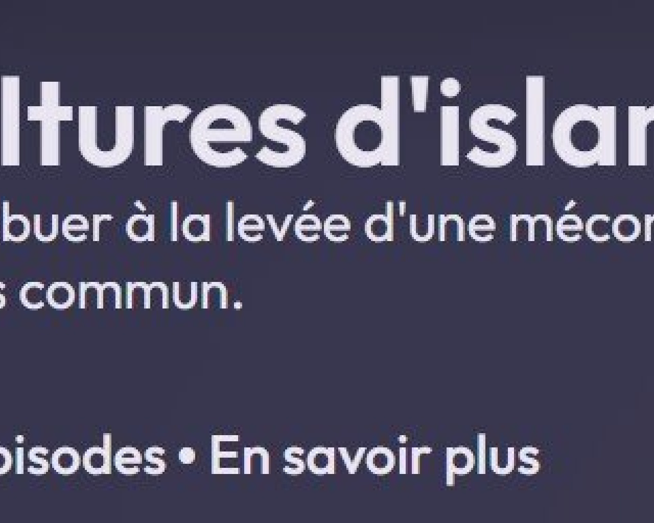 Questions d'islam (France Culture) Questions d'islam (France Culture)