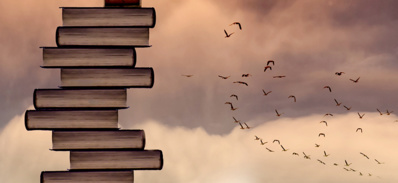 T. Oubrou, T. Ramadan : interrogations autour de deux paradigmes en réponse aux défis contemporains T. Oubrou, T. Ramadan : interrogations autour de deux paradigmes en réponse aux défis contemporains