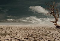 La sacralité de la vie La sacralité de la vie
