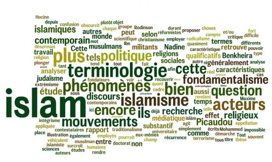 L’Islam réformiste en France : des débats numériques à l’espace socio-religieux