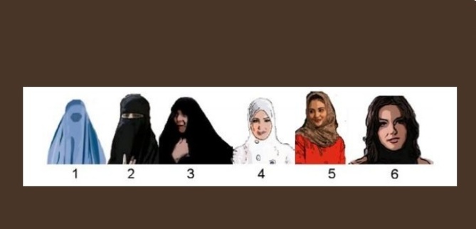 jolpress.com jolpress.com