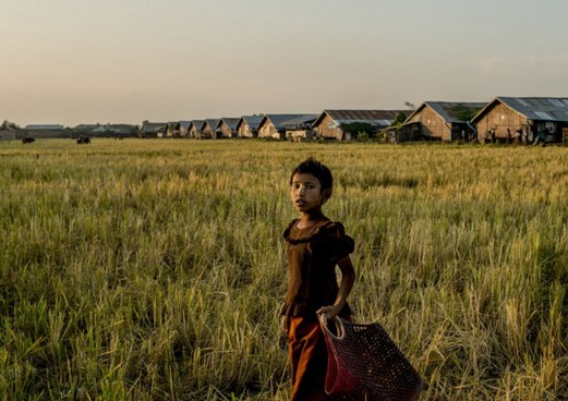 Un camp pour les Rohyngya, une minorité ethnique, à la périphérie de Sittwe dans l'Etat de Rakhine. Crédit photo : Tomas Munita pour Le New York Times