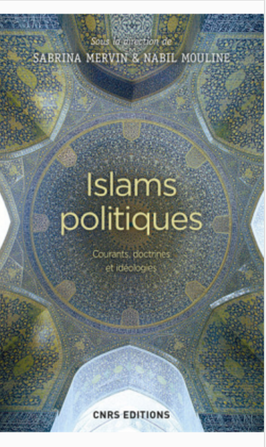 Islams politiques Courants, doctrines et idéologies