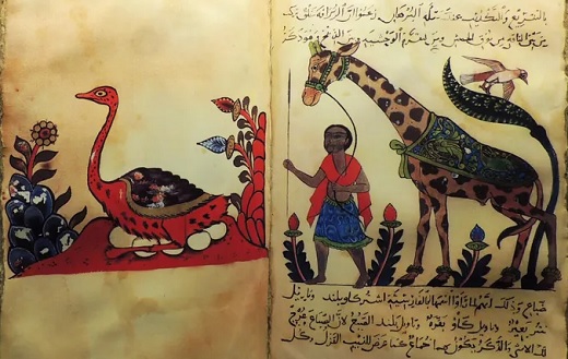 Quelle est la place des animaux dans l'Islam ? Quelle est la place des animaux dans l'Islam ?