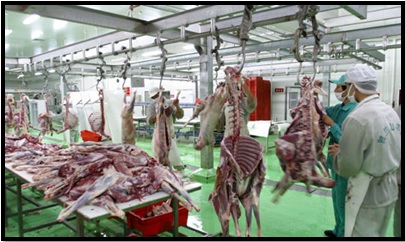 Abattoir halal du Parc industriel de produits alimentaires halal de Wuzhong. Xinhuanet.com