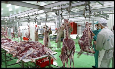 Abattoir halal du Parc industriel de produits alimentaires halal de Wuzhong. Xinhuanet.com Abattoir halal du Parc industriel de produits alimentaires halal de Wuzhong. Xinhuanet.com
