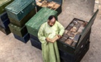 Patrimoine de Tombouctou : Abdel Kader Haïdara, un héros si discret