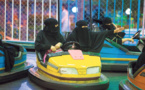 Petits arrangements avec le wahhabisme (Le MONDE diplomatique)