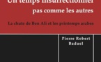 BADUEL Pierre-Robert, Un temps insurrectionnel pas comme les autres. La chute de Ben Ali et les printemps arabes