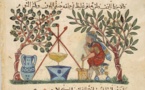  Médecine et santé dans la poésie arabe médiévale : Un examen historique