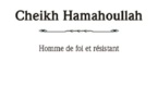 Cheikh Hamahoullah : Homme de foi et résistant. L'Islam face à la colonisation française en Afrique de l'ouest