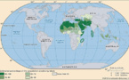 L’Islam et l’ordre du monde