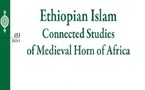 Islam médiéval éthiopien. Vers un renouveau documentaire